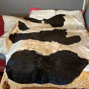 Cow Hide Black and White